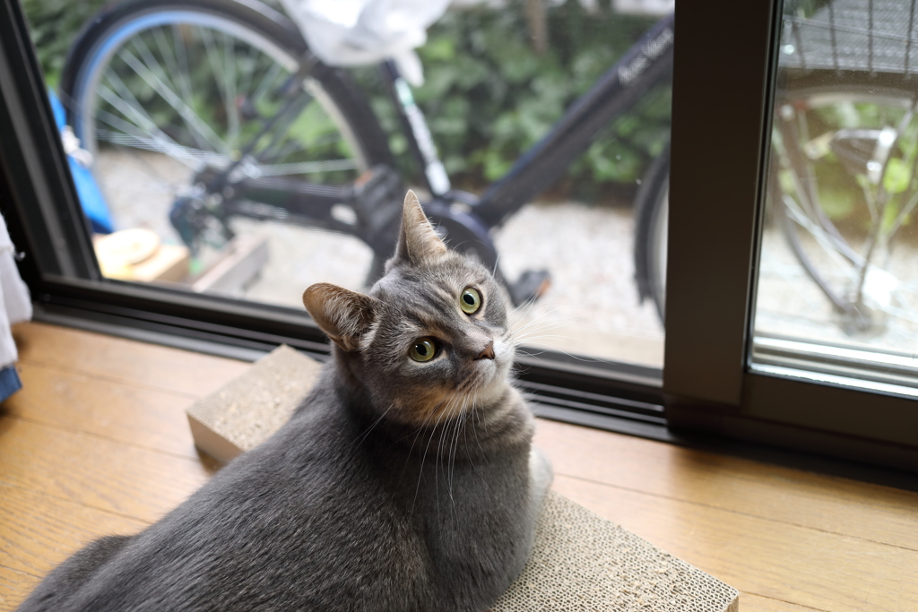 少しお休み？