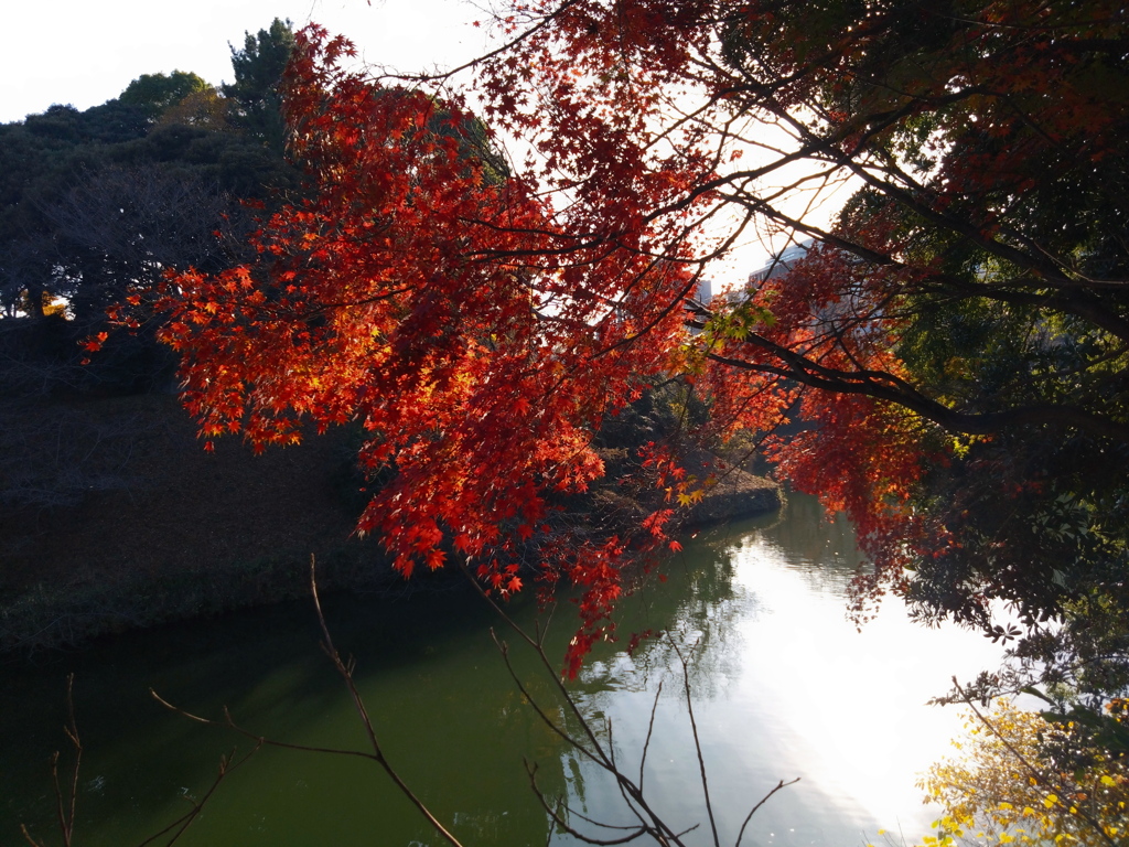 北の丸公園