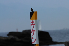キケン