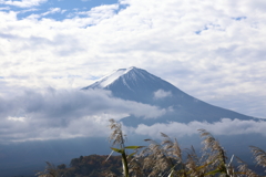 富士山とススキ