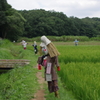 案山子たち