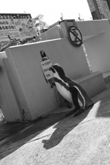 んっ？
