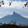 で、富士山('ω')ノ