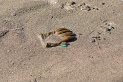 流れ着く