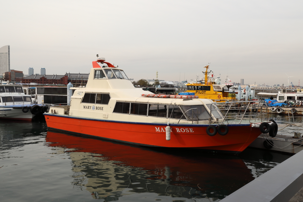 ＭＡＲＹ　ＲＯＳＥ