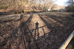 かげ