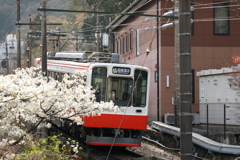 何だかなぁ～