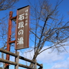 お出掛け('ω')ノ