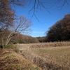 里山の冬