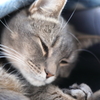 眠い・・・
