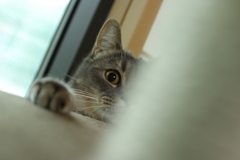 きらぁ～ん！