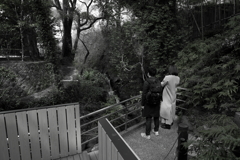 聞こえない会話