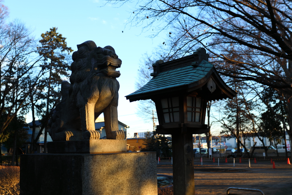 右で