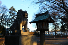 右で