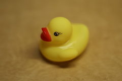 答えです！その2