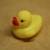 答えです！その2