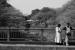 強さとか、愛しているとか・・・