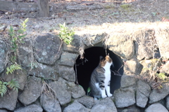 出口があったぞぉ~！