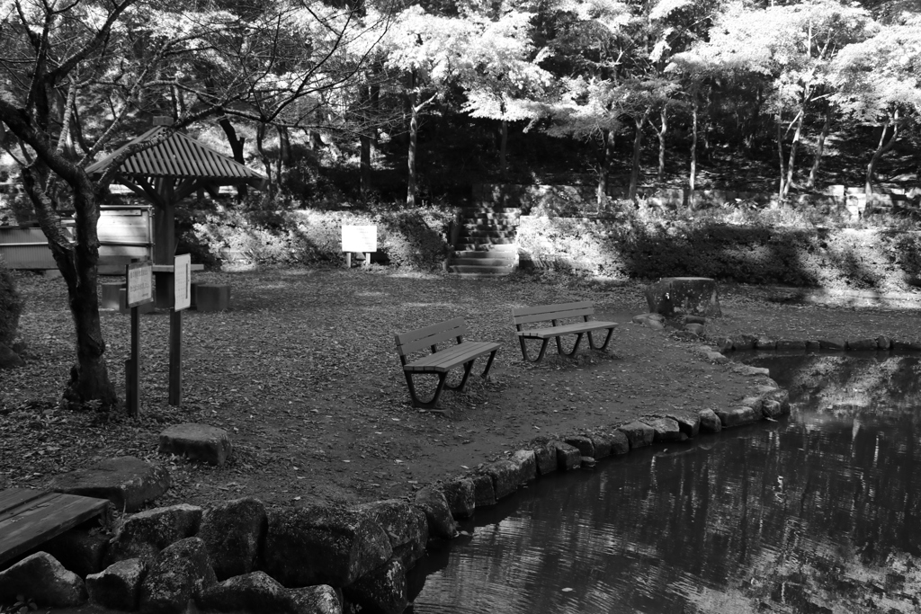 ベンチ