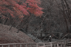 探す
