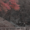 探す