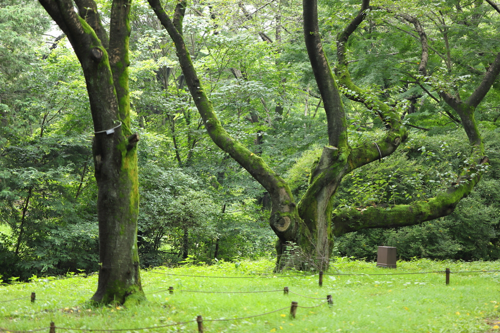 涼しくなってきましたか？