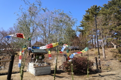 春のかぜ