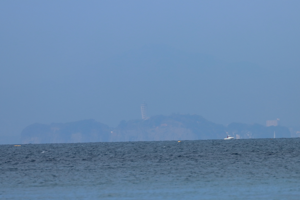 油壷から