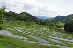 おこめ