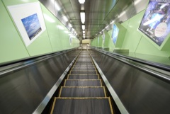 誰もいないじゃん！