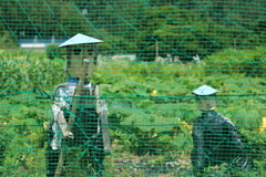 そこの者!