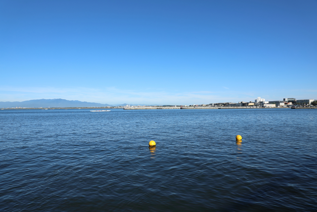 ぶいぶい('ω')ノ