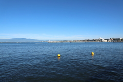 ぶいぶい('ω')ノ