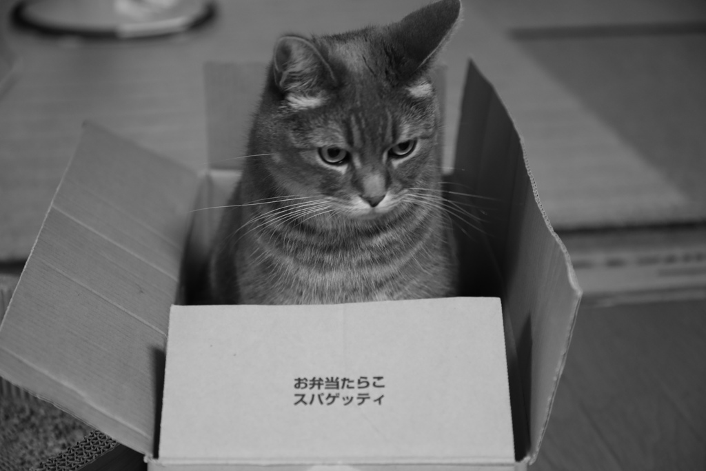 たらこ