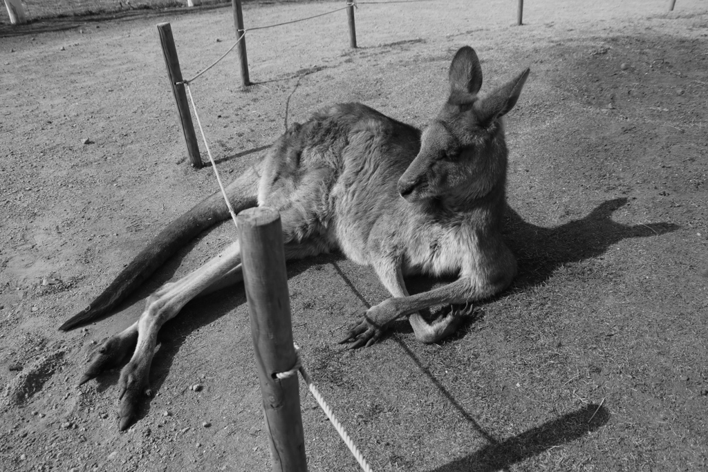 足が出ている（笑）