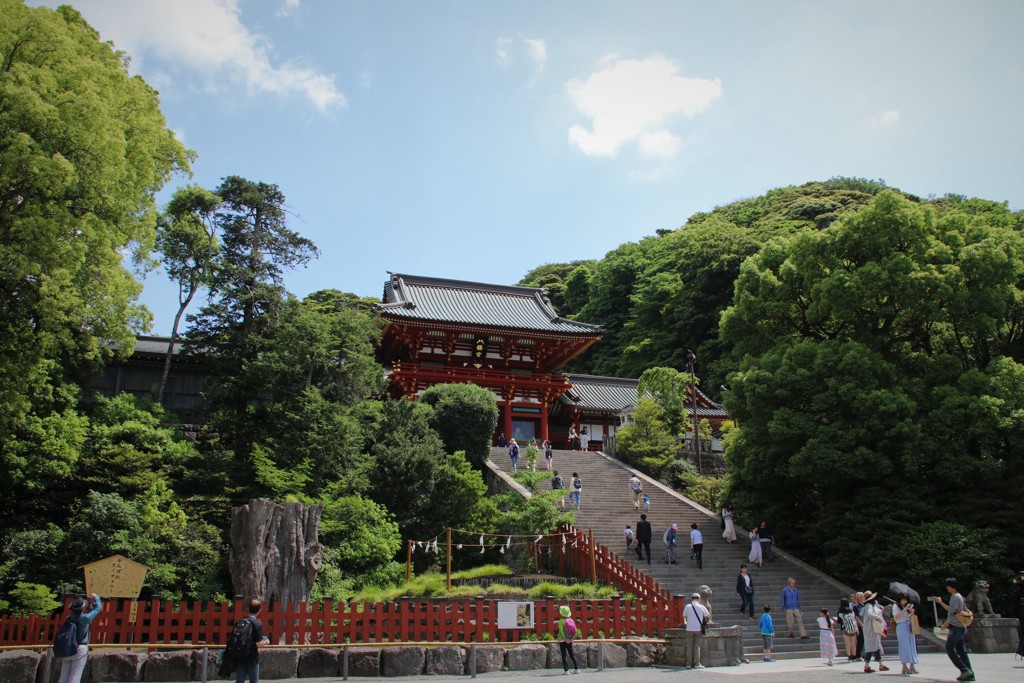 鶴岡八幡宮