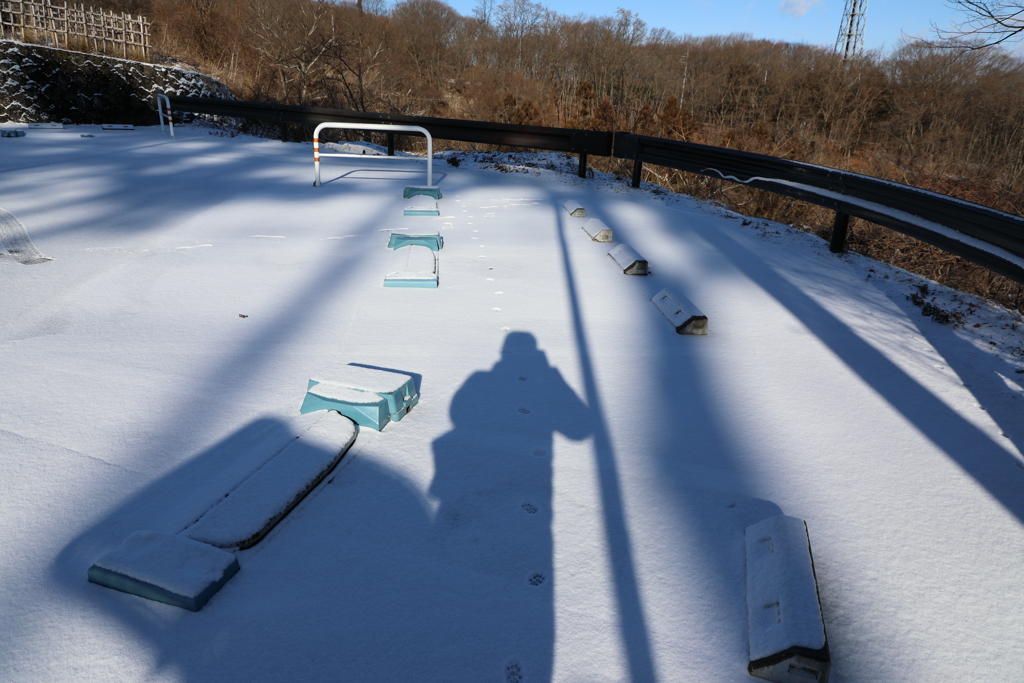 うさぎちゃん？