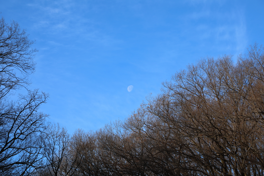 冬の空と月