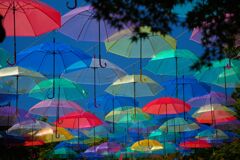 umbrella