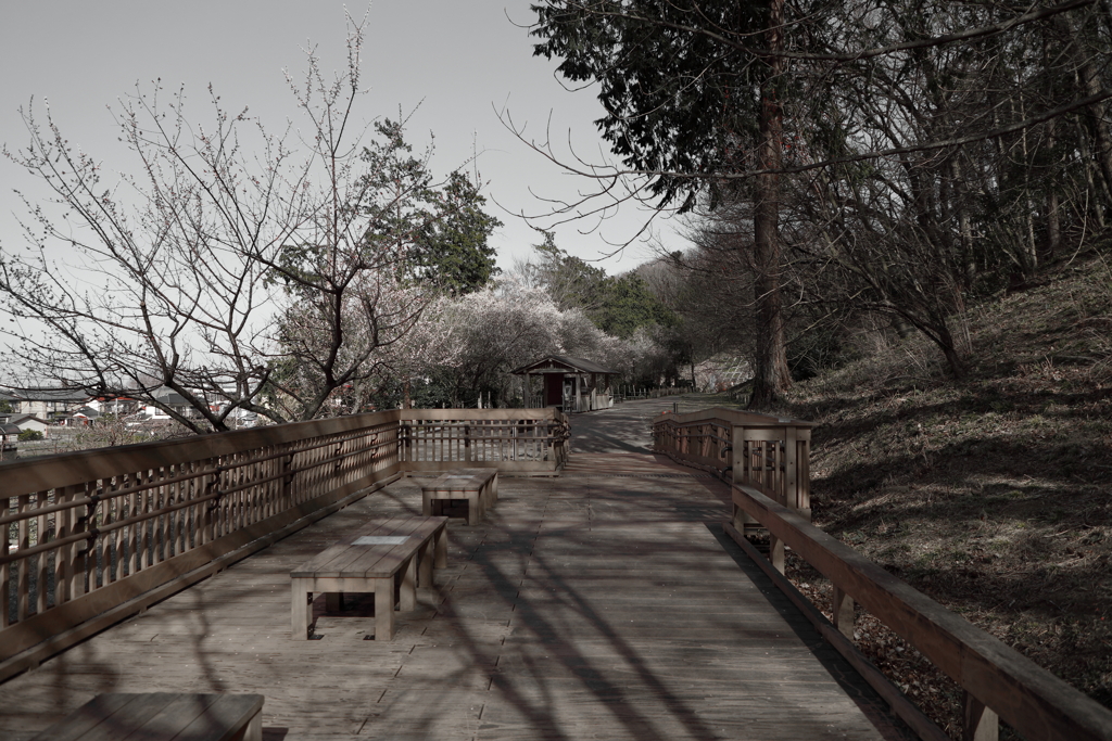 名前のない季節