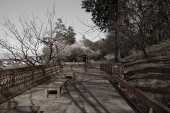 名前のない季節