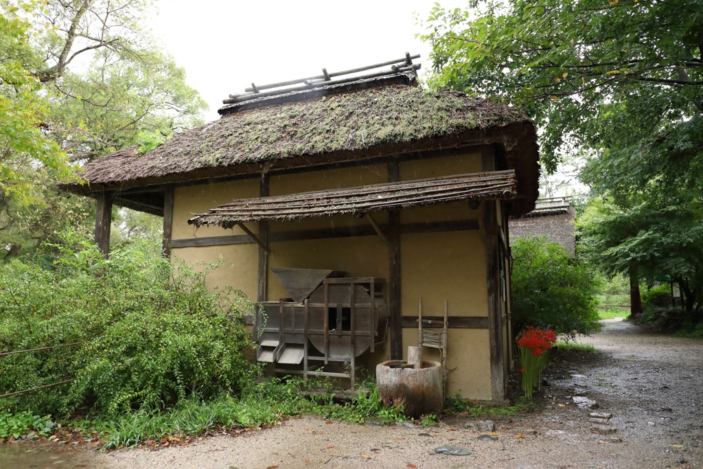 水車小屋と曼珠沙華