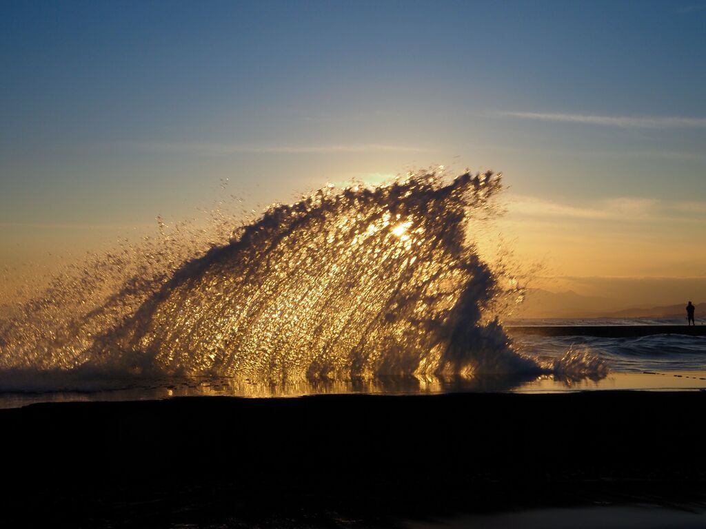 夕陽にキラキラ