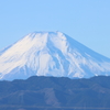 大晦日