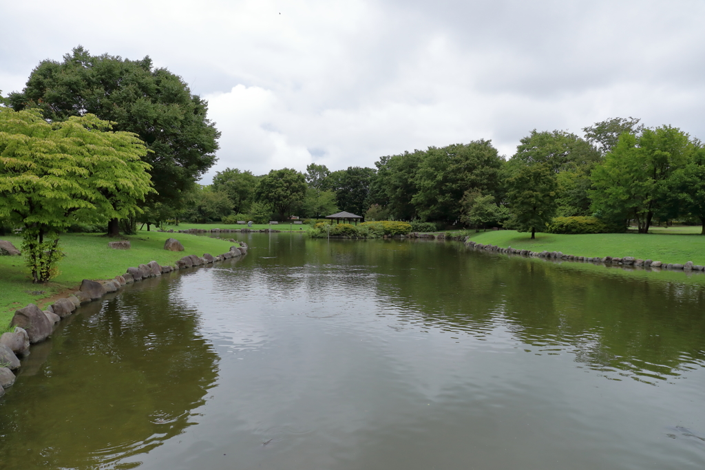 昭和記念公園！