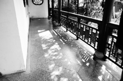 白黒模様
