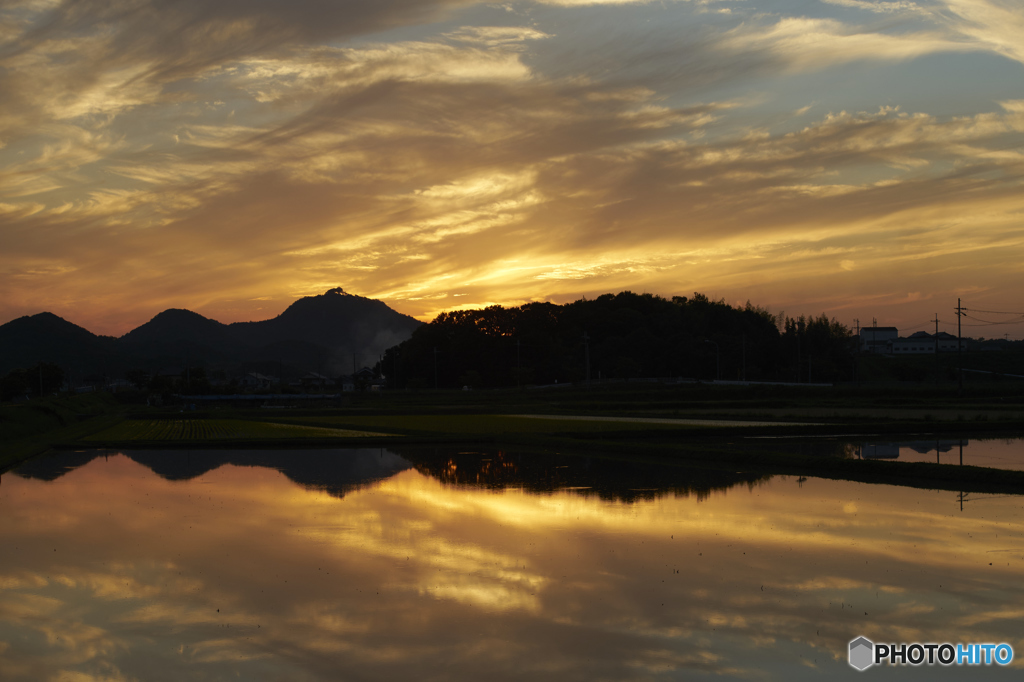 水田と夕暮れ３