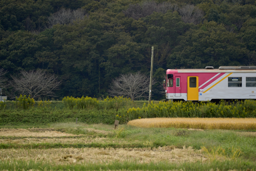 汽車