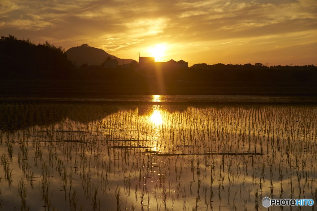 水田と夕暮れ２