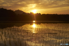 水田と夕暮れ２